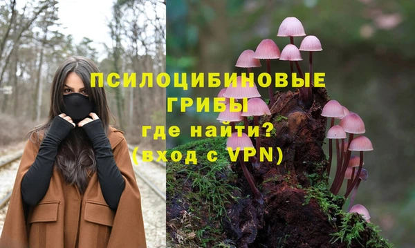 метадон Кодинск