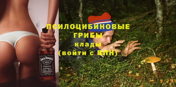 метадон Кодинск