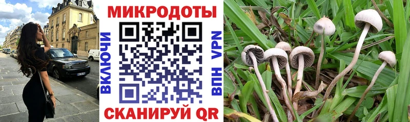 Галлюциногенные грибы Cubensis  Магнитогорск 