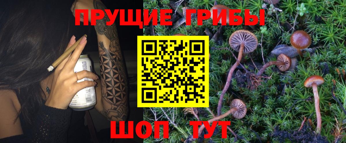 Галлюциногенные грибы GOLDEN TEACHER Магнитогорск